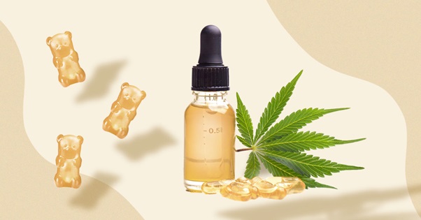 Procure Different Kind Of Benefits In Great Level By Means Of The CBD Oil
