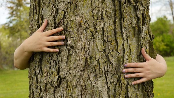 3 Reasons Why Tree Hugging is Good for Mental Health