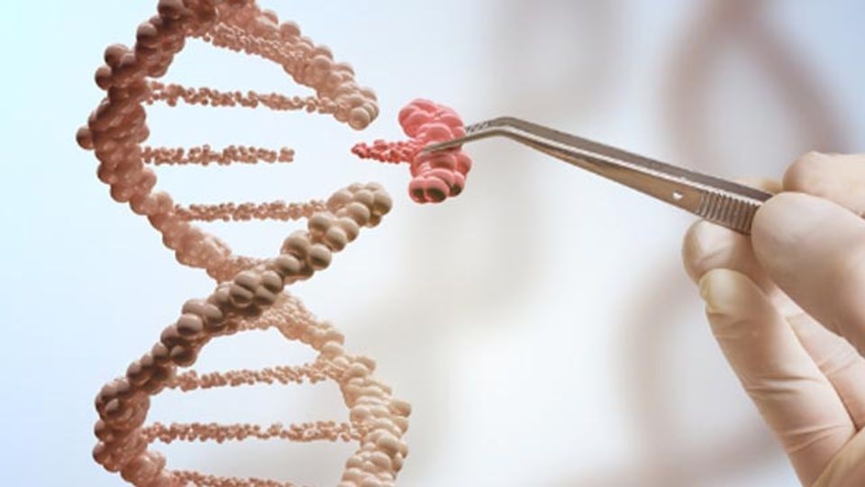 Cancer Genomics: Unraveling the Cancer Genetic Landscape