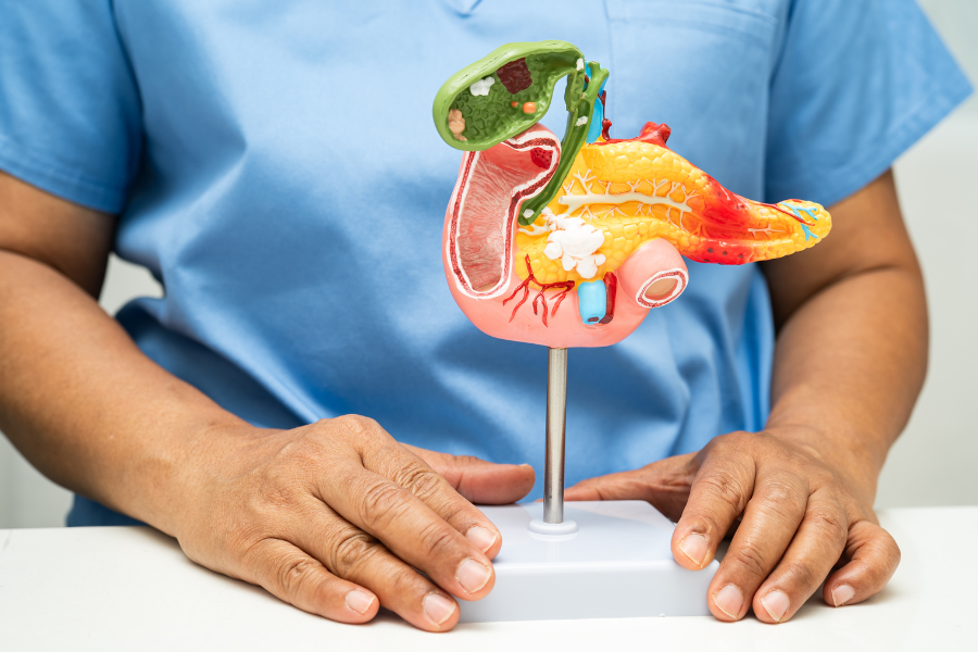 Your Guide to Gastrointestinal Cancer Treatment Plans